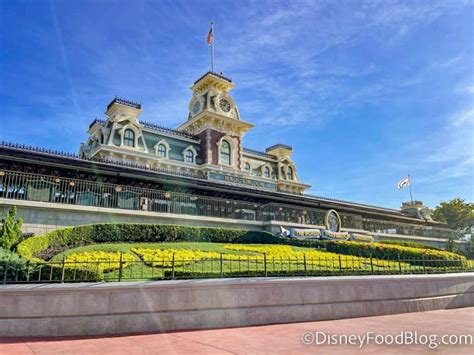 ディズニー帰り 夜ご飯 おすすめ：夢の国から現実への美味しい橋渡し