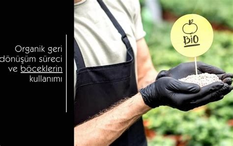  Petrol Koksu Gübre Üretiminde ve Enerji Üretimine Önemli Bir Katkı Sağlıyor mu?