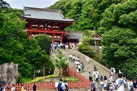 鶴岡八幡宮 レビュー